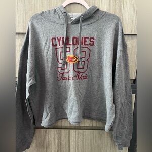Iowa State cropped hoodie